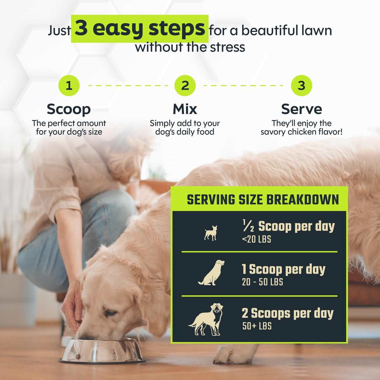Daybreak Nutrition Green Relief Dog Urine Neutralizer for Lawn - Natural Grass Saver Powder Supplement with L-Methionine, Cranberry & Probiotics - Prevents Yellow Patches from Dog Pee - Made in USA