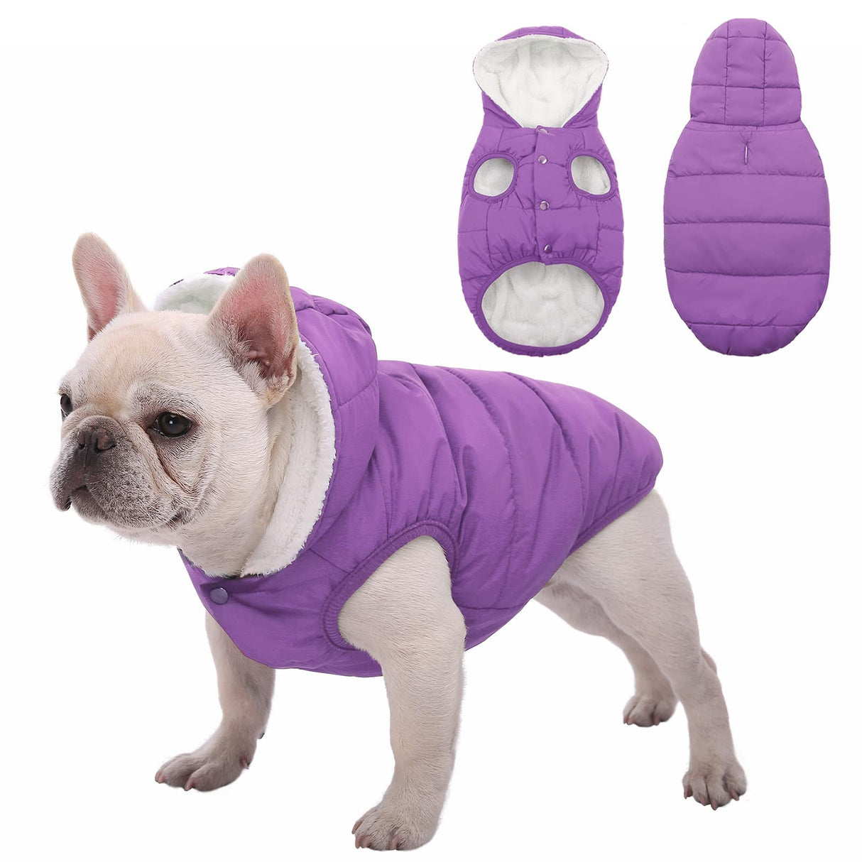 Windproof Waterproof Dog Coat Fleece & Cotton Lined Warm Jacket, Cold Weather Pet Apparel Clothes Vest for Small to Large Dogs (L, Purple)