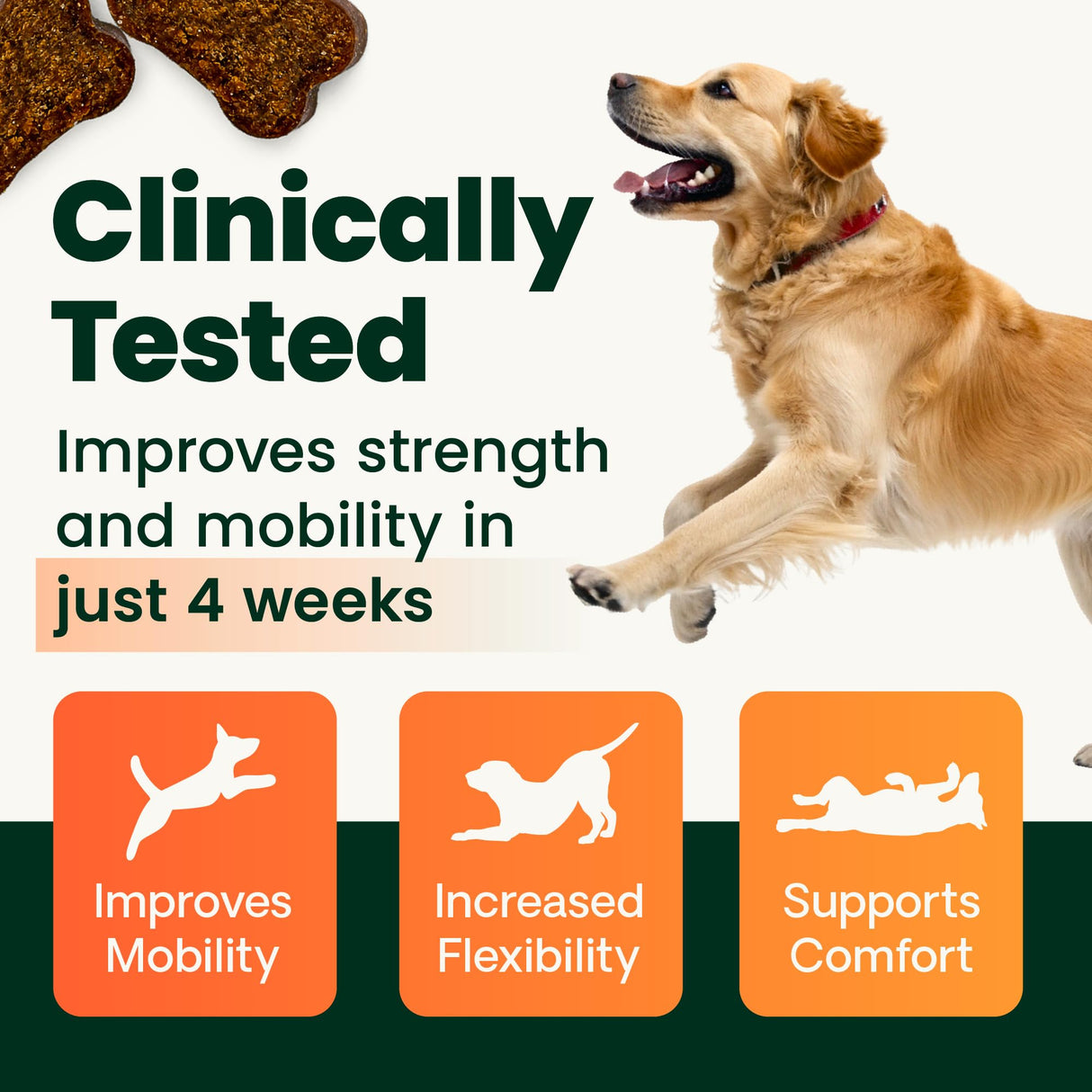 VetriScience Healthy Hip & Joint Chews, GlycoFlex Glucosamine and Green-Lipped Mussel Joint Support Supplement for Dogs, Promote Mobility and Protect Joints, Chicken, 120 Count