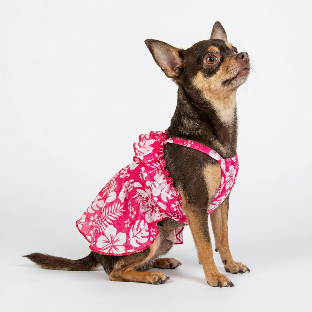 Fitwarm Tropical Dog Dress, Ruffled Doggy Hawaiian Dress, Dog Summer Clothes for Small Dogs Girl, Pet Outfit, Red, White, Small