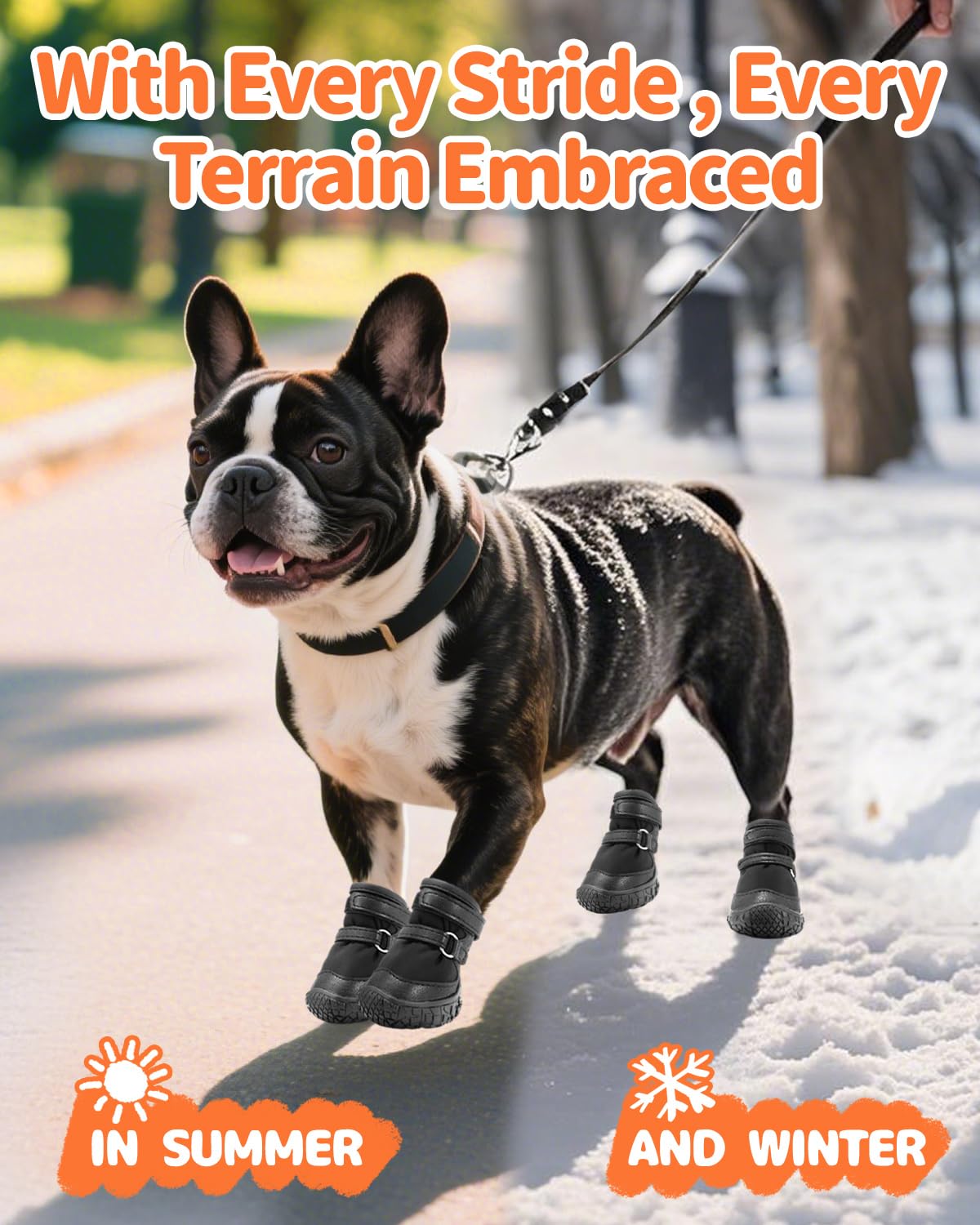 Petanims Dog Shoes for Small Dogs, Double Binding Straps Puppy Boots & Paw Protectors for Summer Hot Pavement, Winter Snow Dog Booties with Anti-Slip Rubber Soles for Beach Hardwood Floor Black Size 3