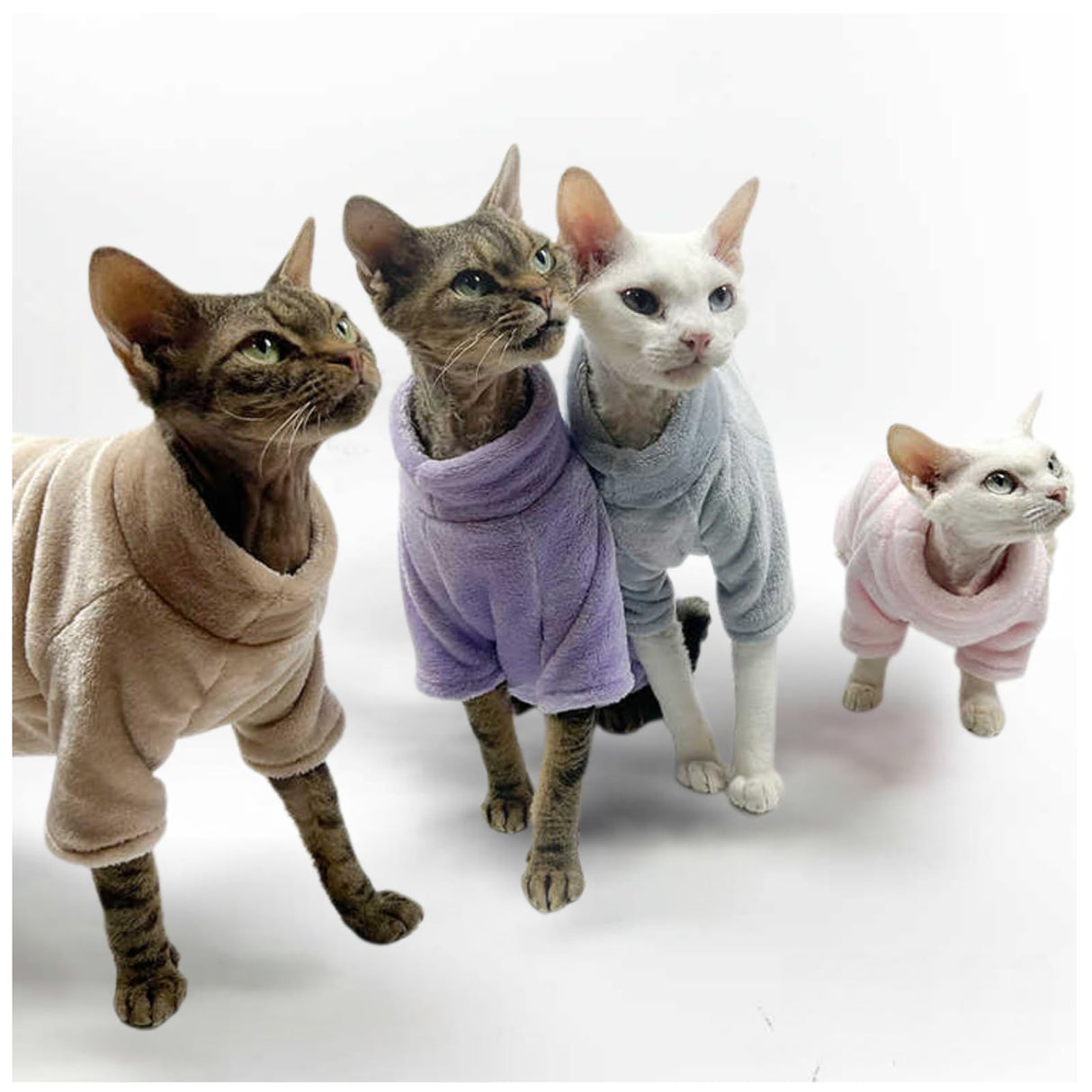 Urnat Cat Flannel Clothes, Warm Soft Winter Sweater Jumpsuit Shirt Clothing for Hairless Sphynx Devon & Indoor Kittens (Blue,XL)