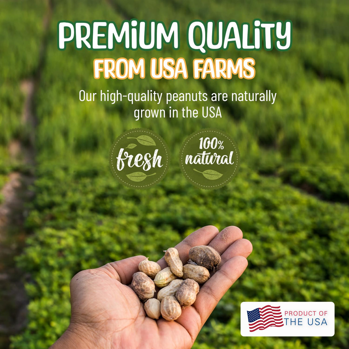 Sneaky Mango Premium Quality Raw Peanuts in Shell - 8 Pounds – All-Natural Food for Squirrels, Deer, Birds, and Other Wildlife Animals – Grown in The USA for Healthy Nutrition