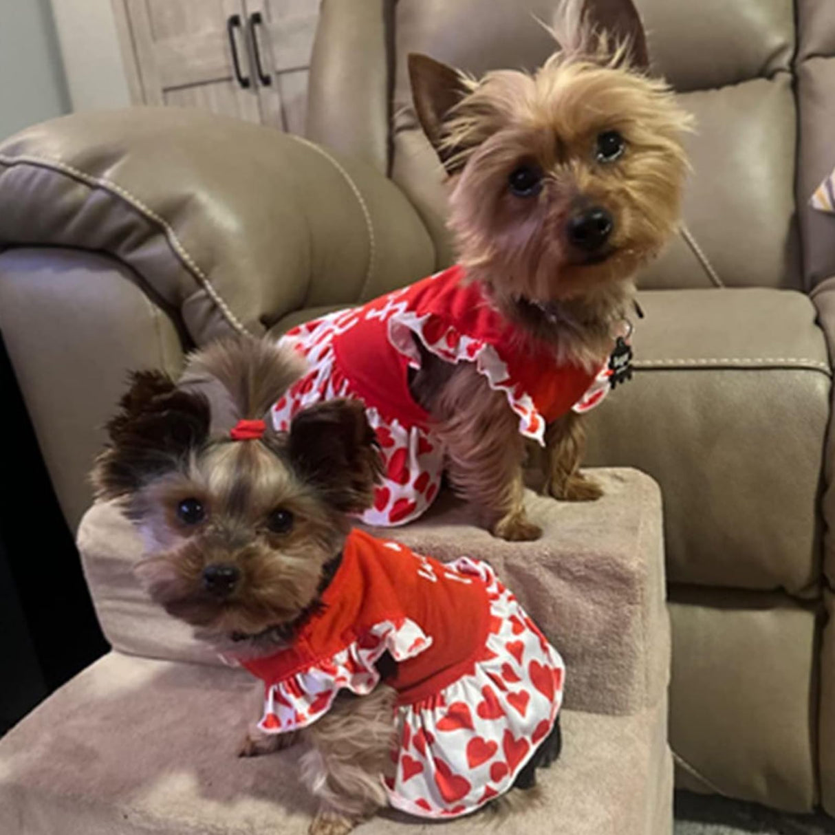 XPUDAC 4 Pieces Dog Dress Girl Dog Clothes for Dogs Girl Flower Dresses for Small Dogs Apparel Colorful Small Doggie Clothes Female (Large, 4 Flower)