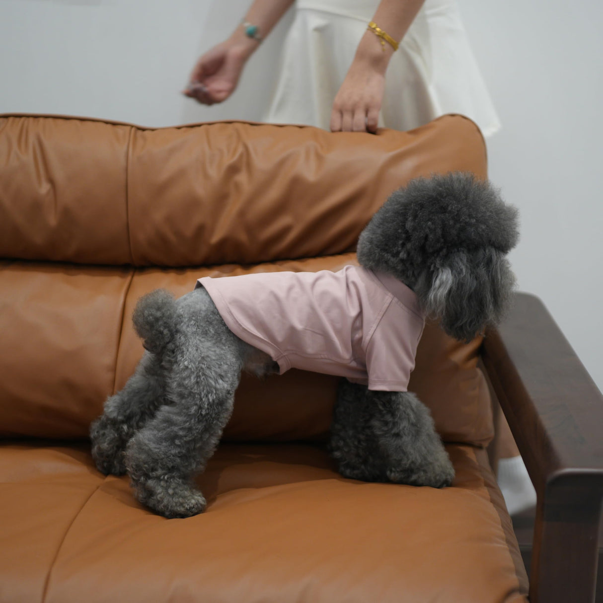 Premium Yoga-Fabric Dog T-Shirt – Breathable, Stretchy, Anti-Shedding Pet Clothes for All Seasons, Small to Large Dogs Dusty Pink 3XL