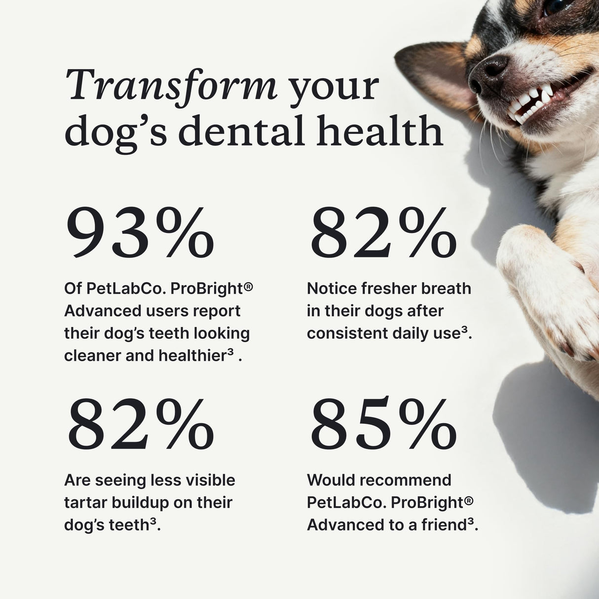 PetLab Co. ProBright Advanced Dental Powder - Dog Breath Freshener - Teeth Cleaning Made Easy – Targets Tartar & Bad Breath - Packaging May Vary - Formulated for Medium Size Dogs