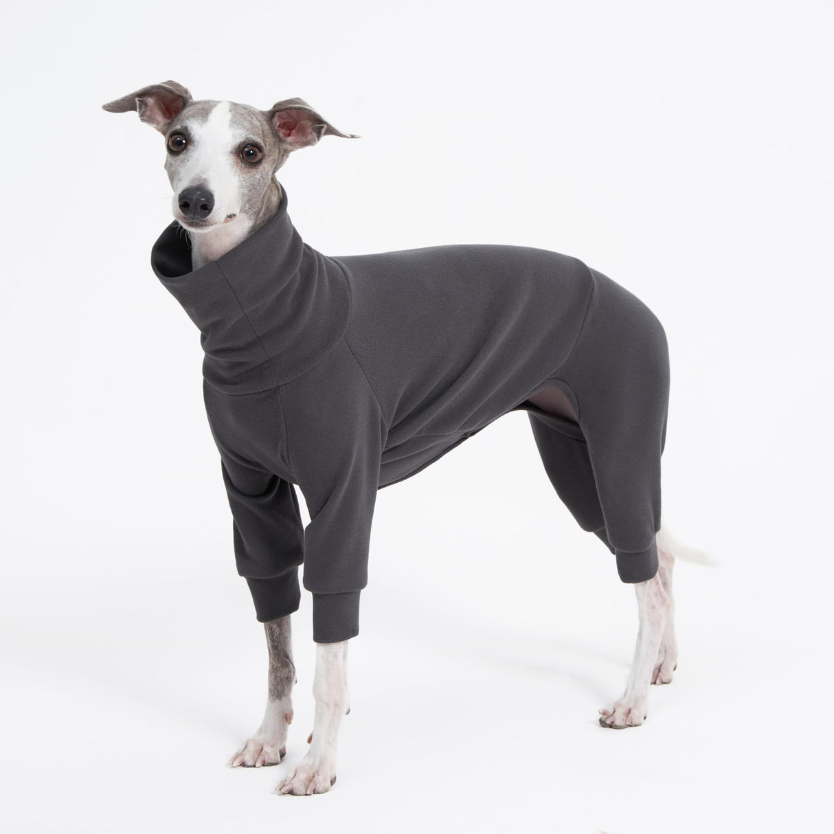 ESCCBOO Cozy Cotton Fluffy Underwear Onesie for Italian Greyhounds and Whippets, Super Soft Warm Pajamas and Jumpsuit(Large, Grey)