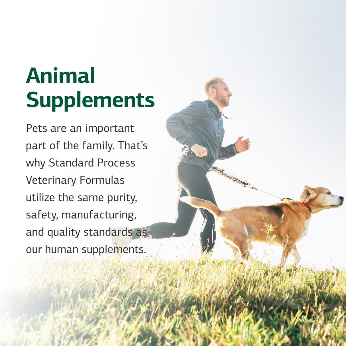 Standard Process Canine Adrenal Support - Nutritional Canine Supplement for Liver & Kidney Support - Powder Formula to Aid Dog's Adrenal Glands & Health - 100 g