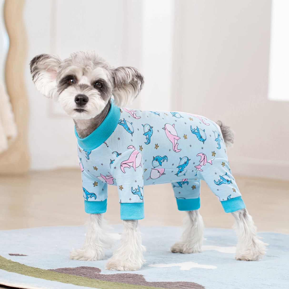 Dog Recovery Suit for Surgery Small Medium Dogs Onesie, Cute Soft Dog Pajamas Bodysuit Cone Alternative Prevent Licking Recovery Suit Female Male (Dolphins, Large)