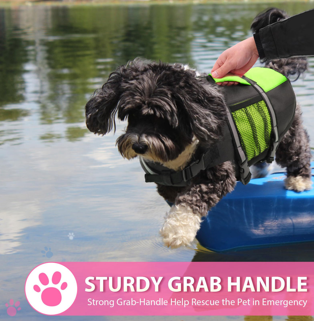 Queenmore Dog Life Jacket Lifesaver Preserver High Buoyancy with Emergency Grab Handle for Small & Medium Dogs Green, Large