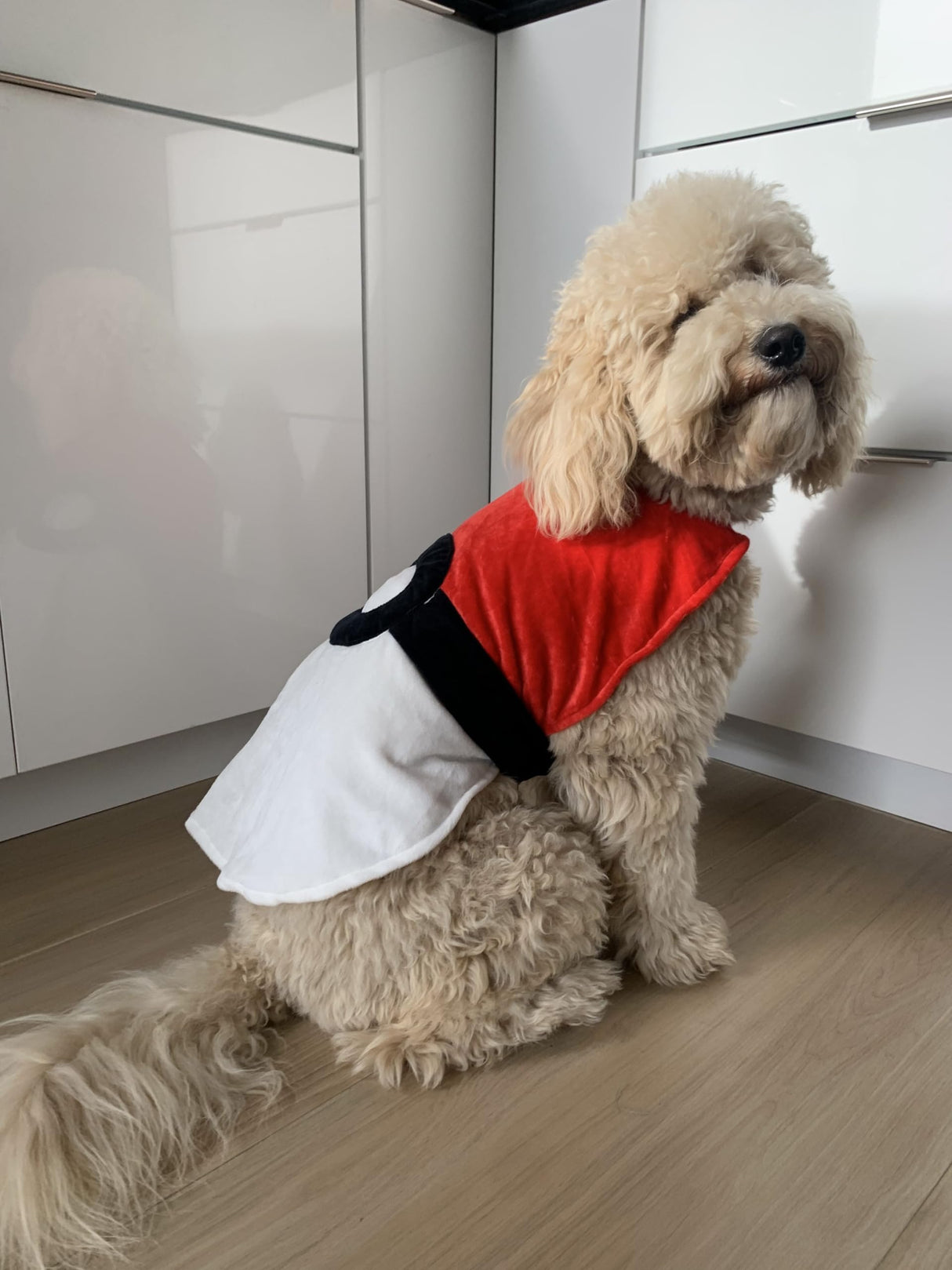 ComfyCamper Red and White Dog Costume - X Large Medium Small French Lab Retriever Pet Cosplay Halloween Costumes Ball (Medium, Cape)
