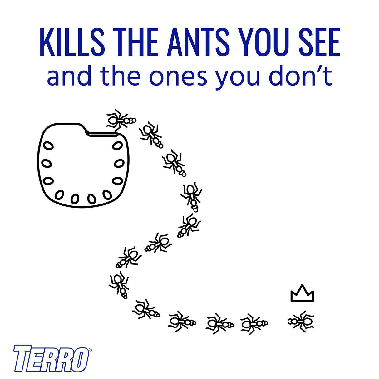TERRO Multi-Surface Liquid Ant Baits 4 Bait Stations Attracts & Kills All Ants