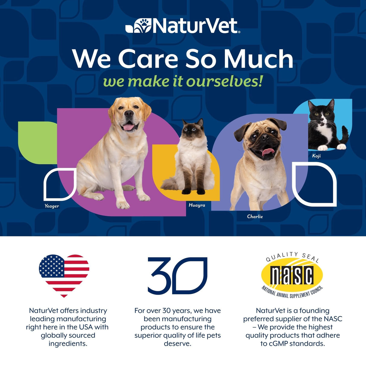 NaturVet Senior Advanced Incontinence Dog Supplement – Helps Support Dog’s Bladder Control, Normal Urination – Includes Synergistic Blend of Botanicals – 60 Ct. Soft Chews