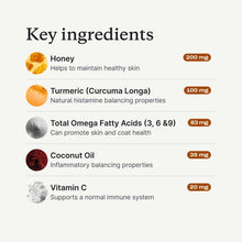 Load image into Gallery viewer, PetLab Co. Itch Relief Chews - Support for Dry, Occasionally Itchy Skin & Coats - Formulated with Turmeric, Omega 3 & 6, Honey - Packaging May Vary