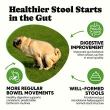 Load image into Gallery viewer, Probiotics for Dogs – Helps Digestion, Loose Stools, Gas & Sensitive Stomachs, Probiotics for Itchy Skin & Dog Yeast Infection, Immune & Fresher Breath with 4 Prebiotics & 5 Digestive Enzymes – 180 ct