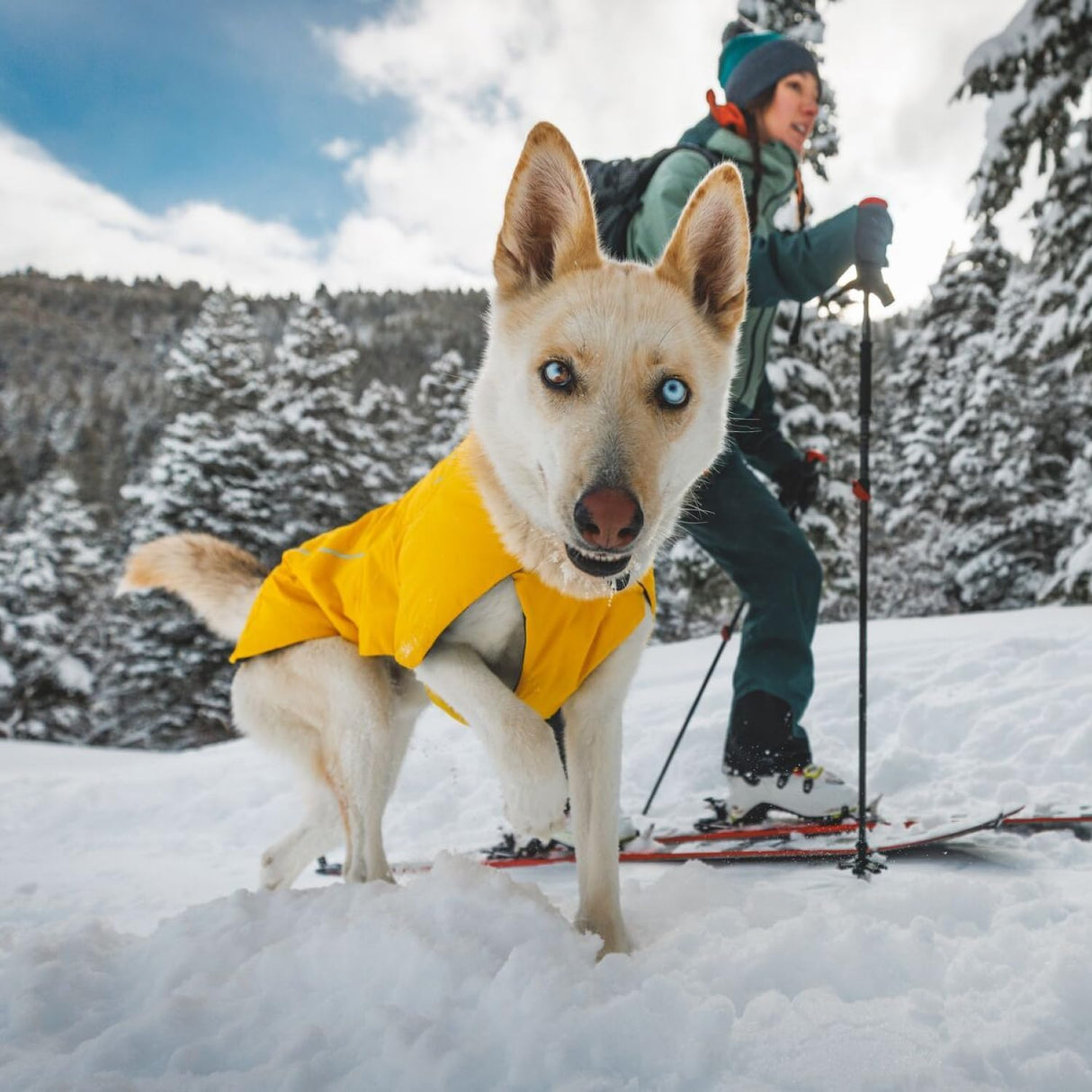 Ruffwear, Vert Dog Winter Jacket, Insulated Waterproof Dog Coat with Harness Leash Portal, Breathable Design with Leg Loops, Windproof Extended Coverage, Reflective Trim, Blue Pool, Large
