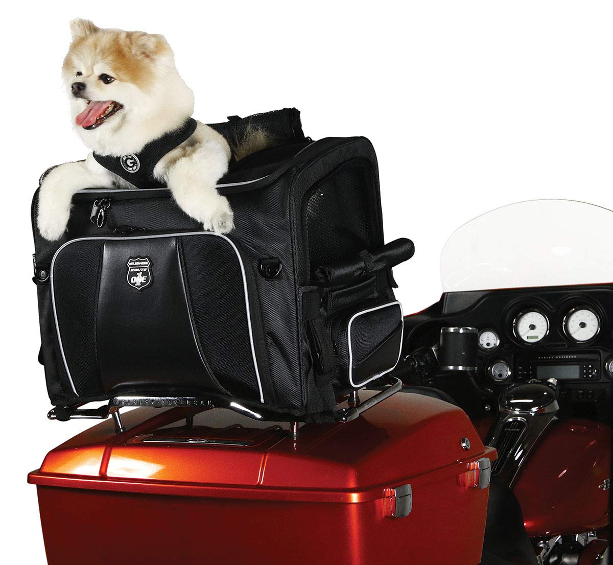Nelson-Rigg Route 1 Rover Pet Carrier: Weather Resistant, Portable, and Secure Motorcycle pet Carrier/Crate; Fits Harley Davidson, Indian, Yamaha & Suzuki Motorcycles