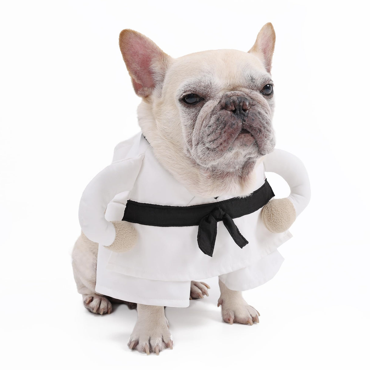 ETIAL Martial Arts Pet Costume for Halloween - Karate Uniform with Adjustable Self-Adhesive Strap for Dogs & Cats - Funny Animal Costume Easy On/Off M