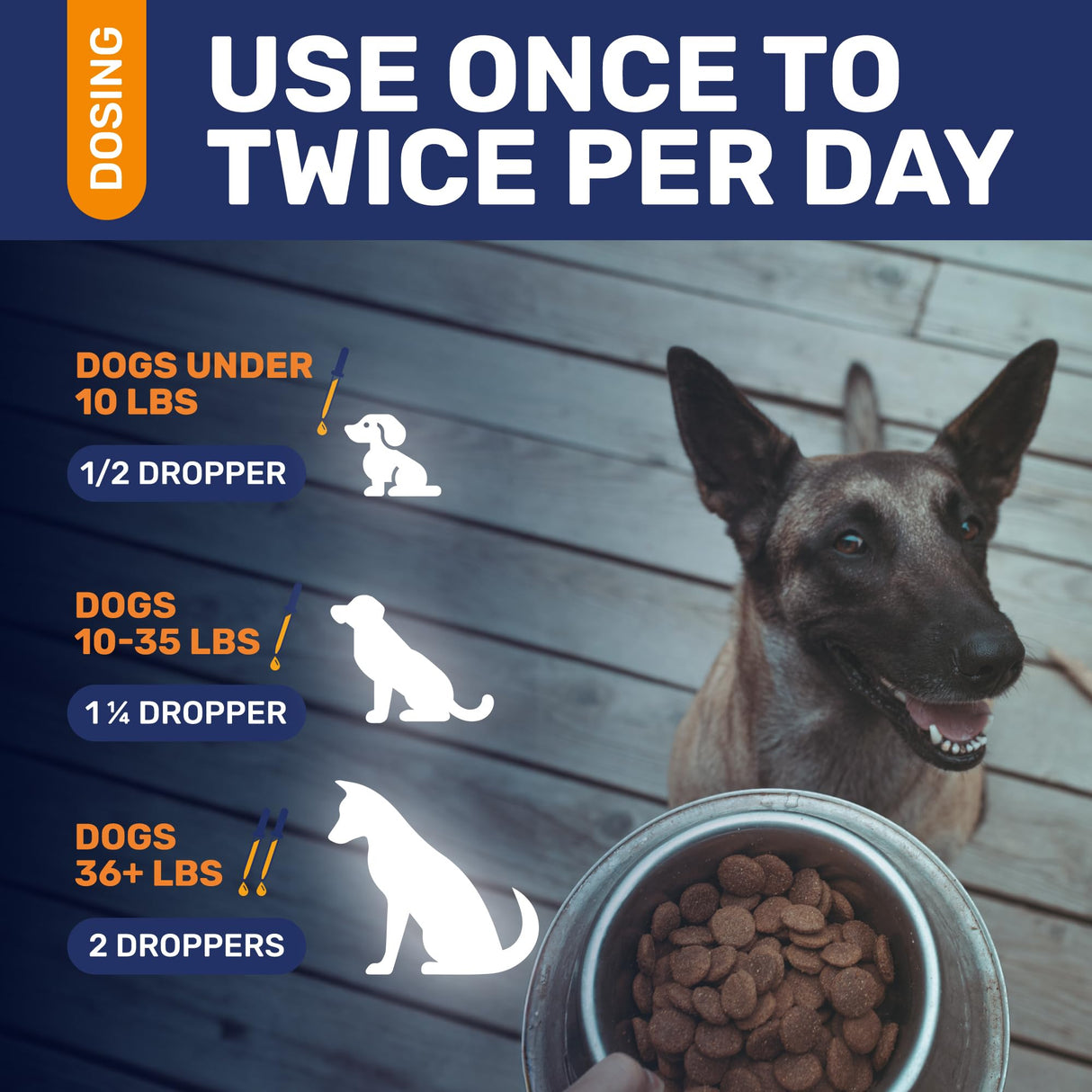 Natural Antibiotics for Dogs for Allergies, Infections, Coughs, Digestive Moments β Dog Antibiotics with Beef Flavor May Support Urination and Breathing β Organic Composition with Cranberry β 2 Oz