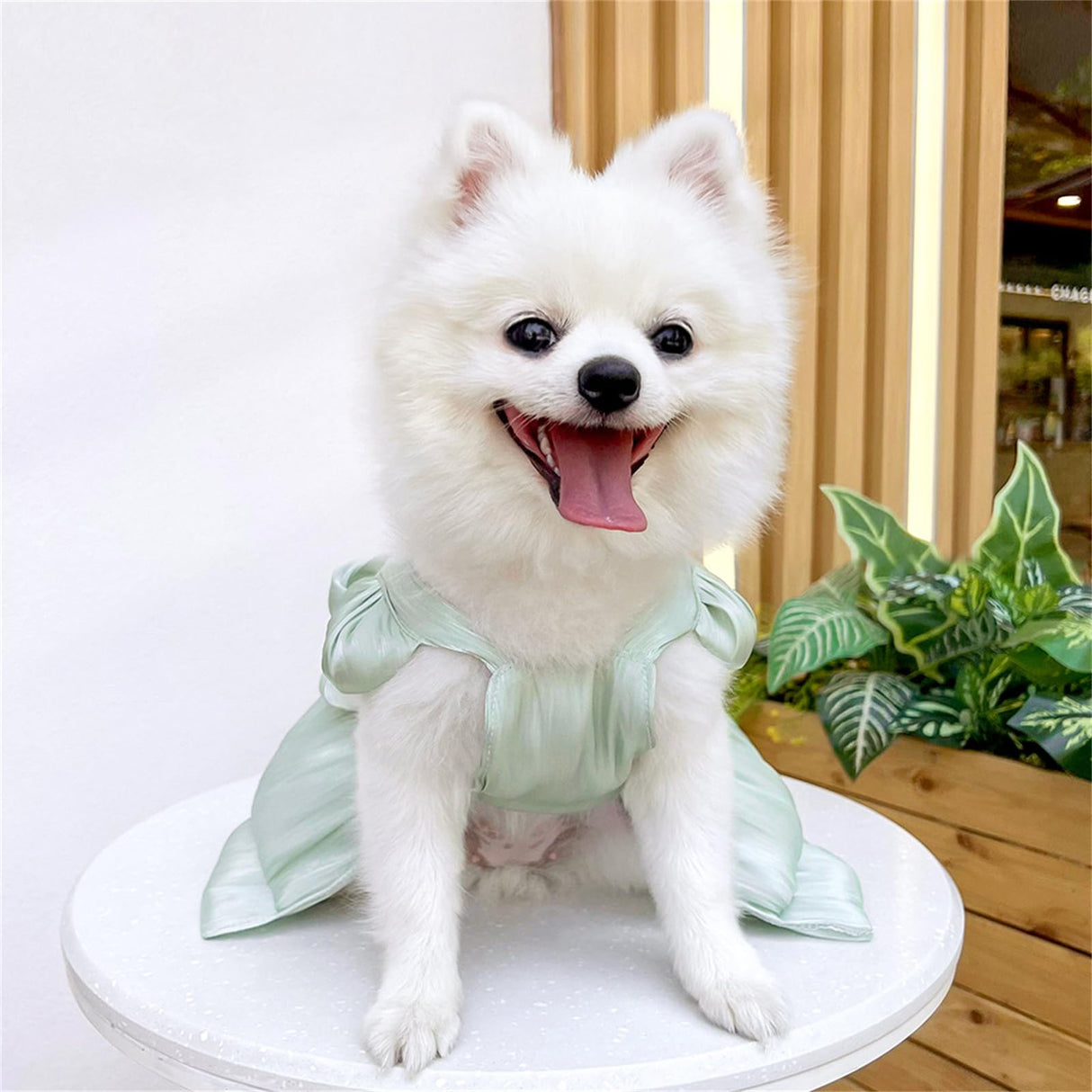 Yaopelky Dog Princess Dress for Small Dogs Cat Bow Dress with D-Ring Dog Girl Wedding Clothes Cute Puppy Tutu Skirt Doggy Summer Costume (Green, Medium(5.5-7.7lb))