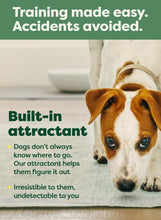 Load image into Gallery viewer, Earth Rated Max Absorbency Puppy Pee Pads for Dogs Absorbs 2X Faster & 2X More, Leak-Proof, Odor Control Potty Training, Unscented, Large, 22” x 23”, 40 Count