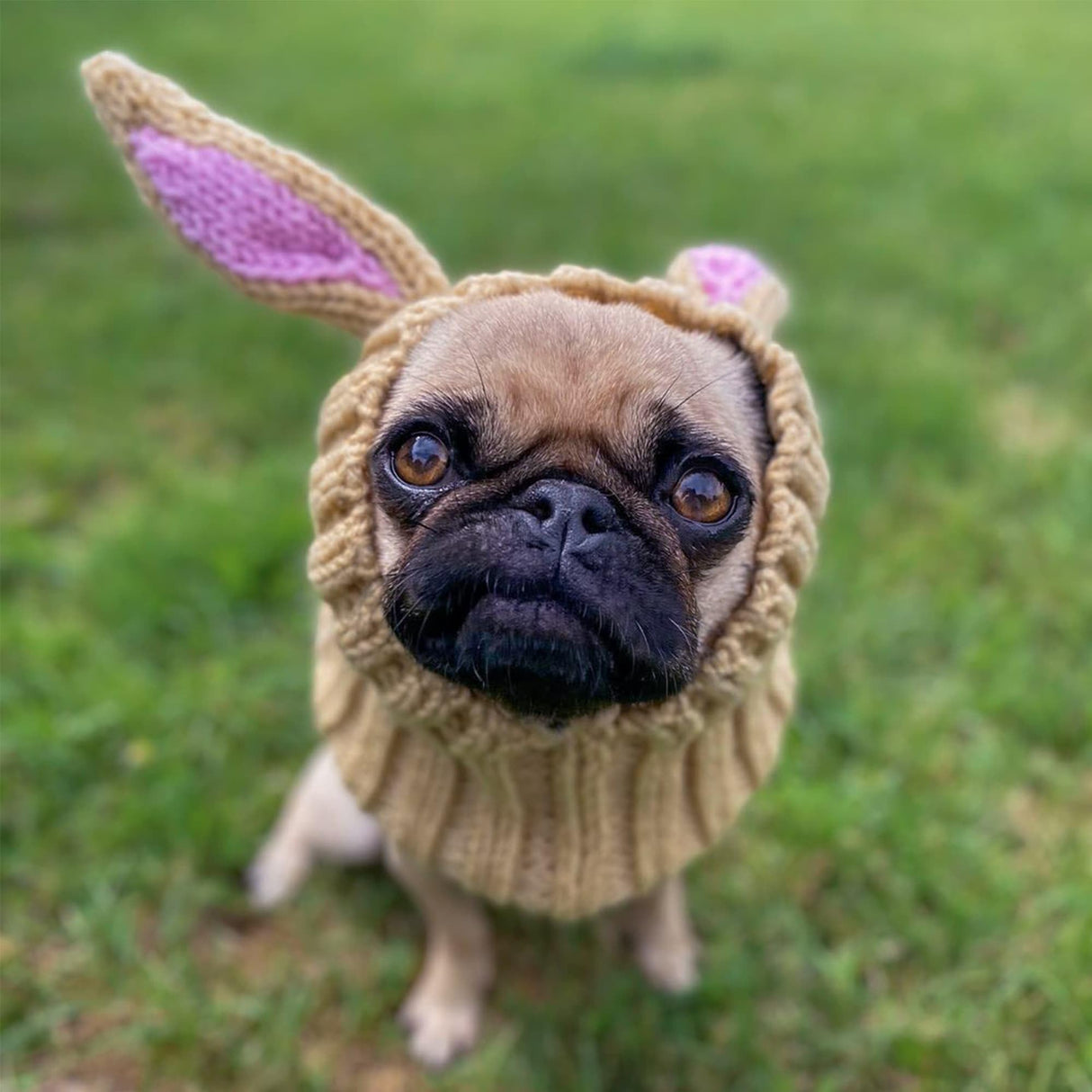 Zoo Snoods Jack Rabbit Costume - Knit Dog Snood Ear Wrap for Pets, Warm Neck Cover for Halloween and Winter (Small)