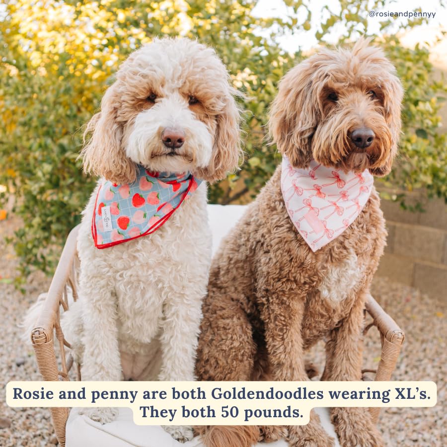 Lucy & Co. Ballet Bows Bandana - Durable Comfortable Dog Bandana - Machine Washable - Designer Puppy Accessory - Large White & Pink Bows