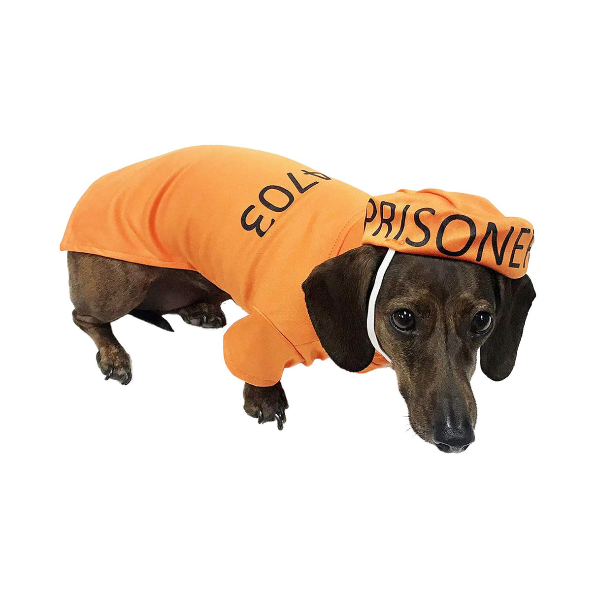 Midlee Orange Halloween Costume (XXX-Large)