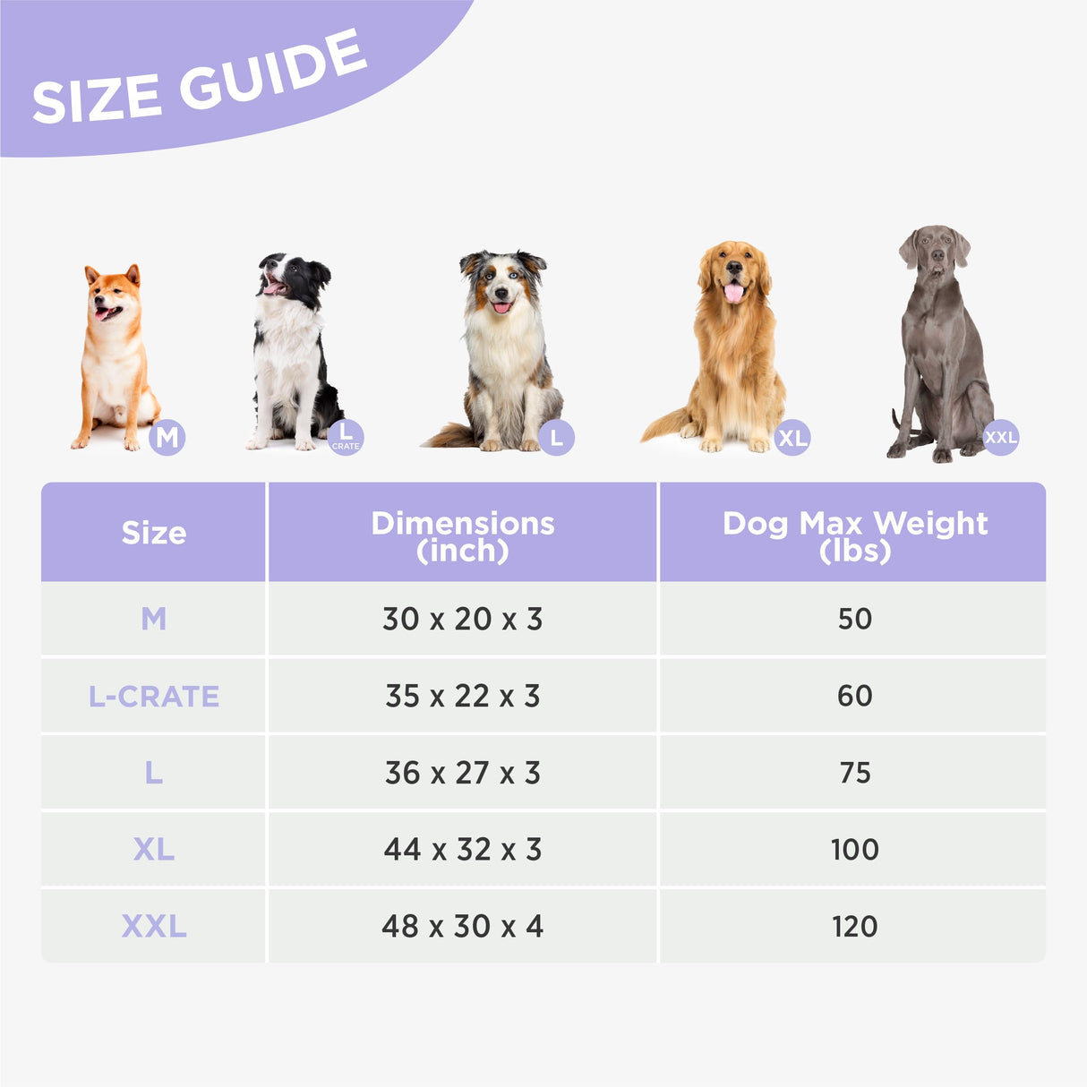 LE SURE Outdoor Waterproof Dog Bed for Medium Sized Dogs, Orthopedic Egg Crate Foam Pet Bed with Oxford Fabric Surface and Removable and Durable Cover, Machine Washable, 30''x20'', Black