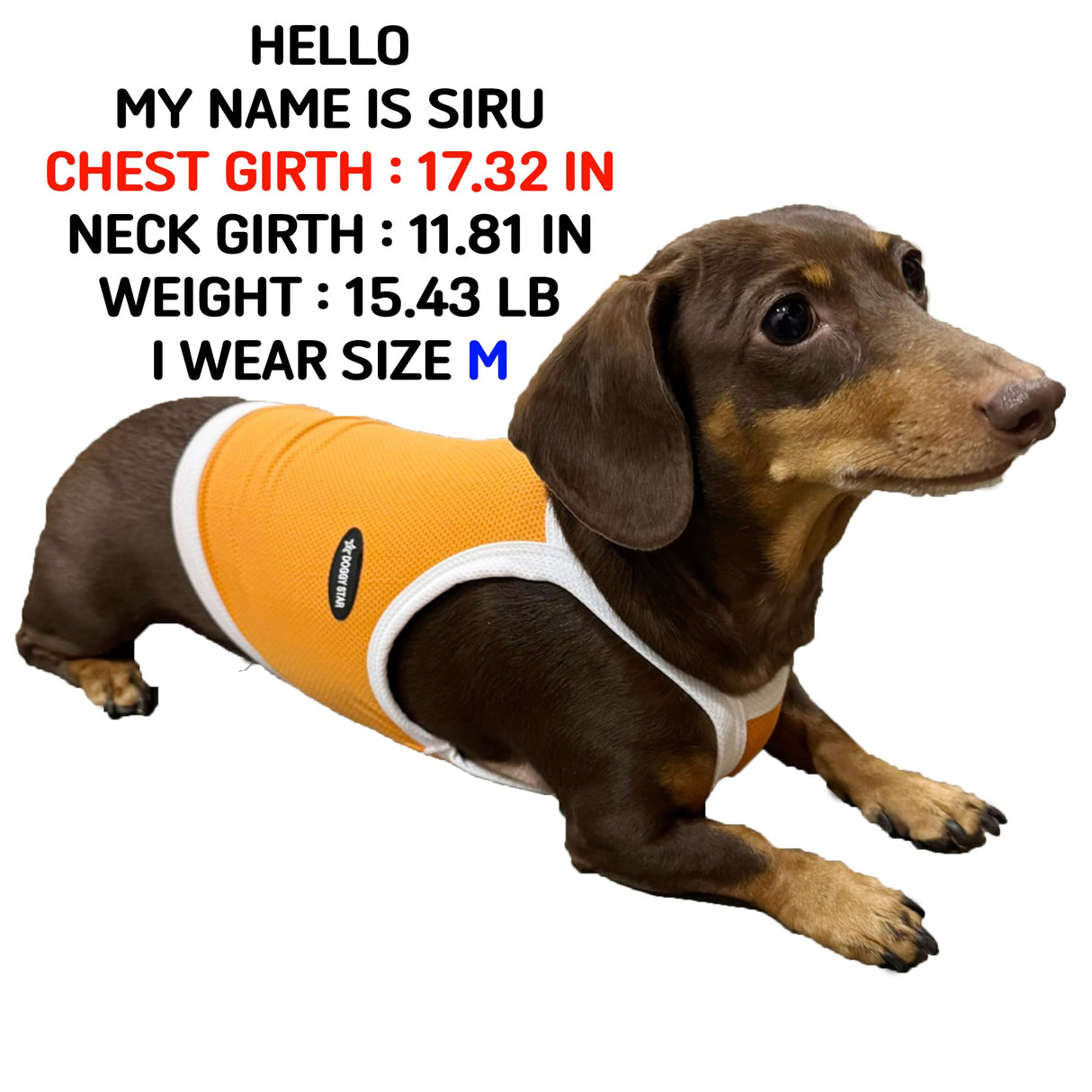 D Doggy Star Dachshund Clothes Spring Summer Cooling String T Shirt Crop Top for Dogs (L,Camisole Orange)