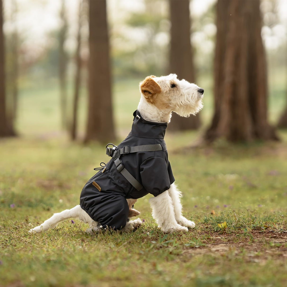 PAWBOSE Dog Raincoat with Harness for Small and Medium Dogs, Adjustable Waterproof Dog Rain Jacket,Reflective Rainproof Puppy 4 Legs Raincoat-Grey,S