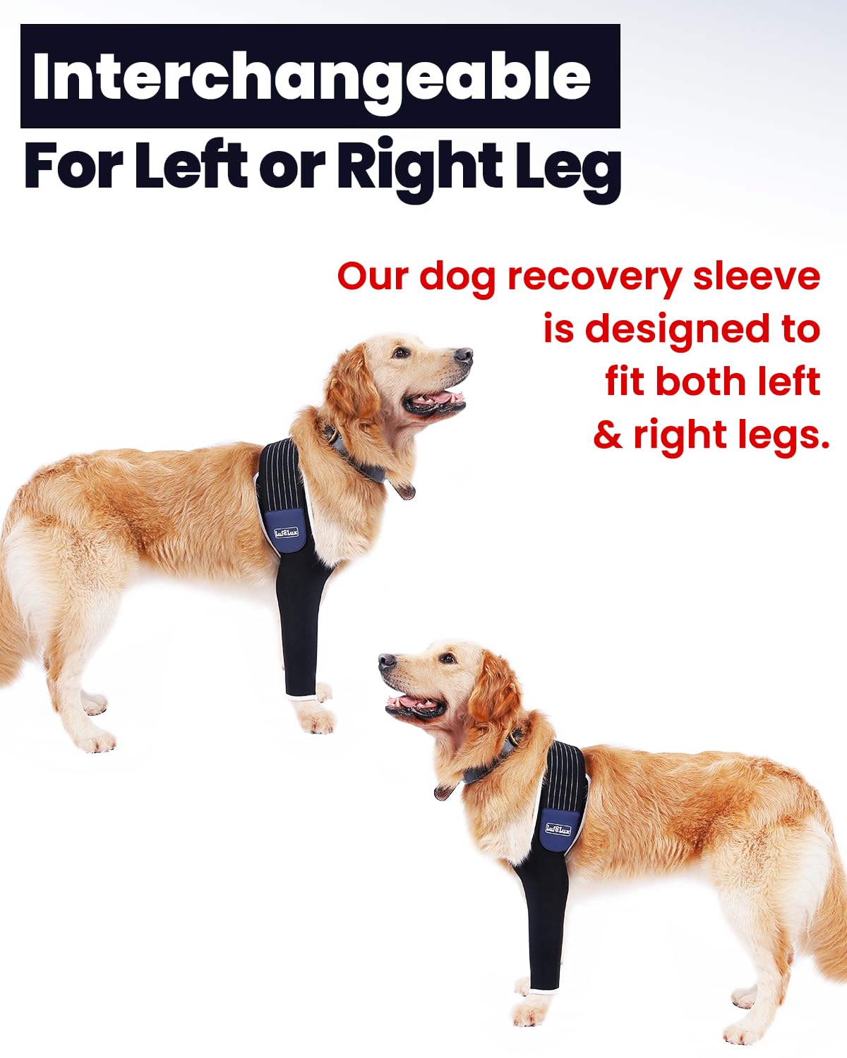 LufeLux Dog Front Leg Sleeve, XLarge, Comfortable, Breathable Material, Adjustable Elastic Band, for Hot Spots, Wounds, Bandages