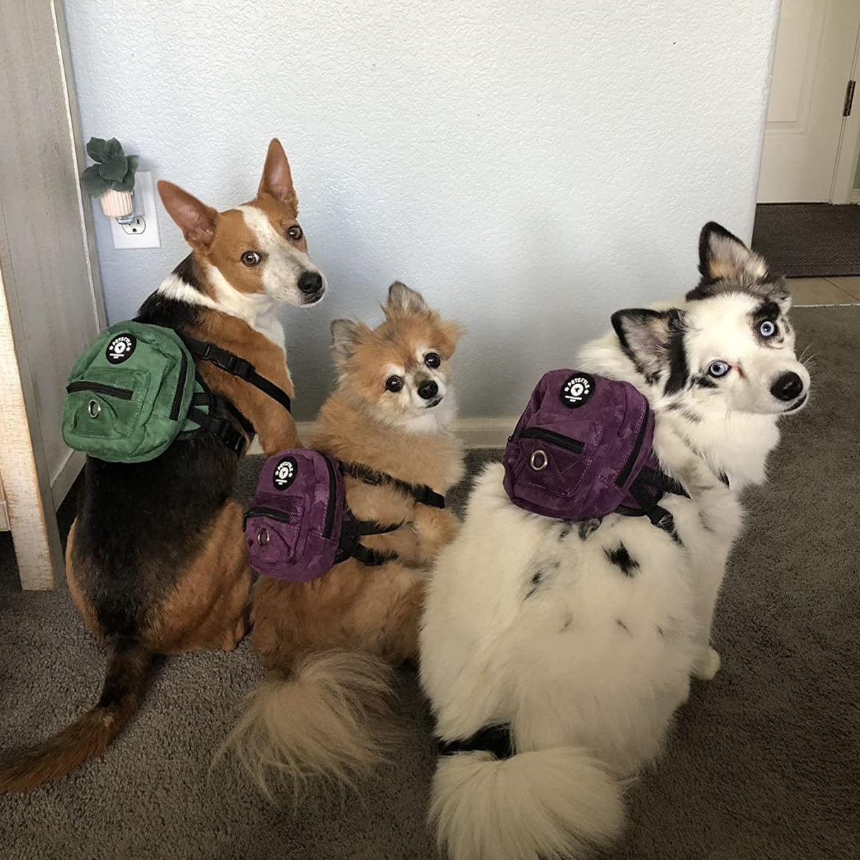 FLAdorepet Dog Backpack Harness with Leash, Dog Poop Bag Dispenser, Pet Self Carrier Adjustable Travel Hiking Walking Harness Backpack for Small Medium Dogs (L(Fit:10-15lb), Purple)