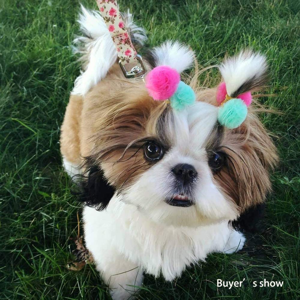 Mruq pet 100pcs Small Pet Dog Hair Bows, Bulk Cute Dog Hair Round Puff Ball Pom Pom Bows with Rubber Bands, Mix Handmade Yorkie Dog Grooming Bows for Dog Hair Accessories