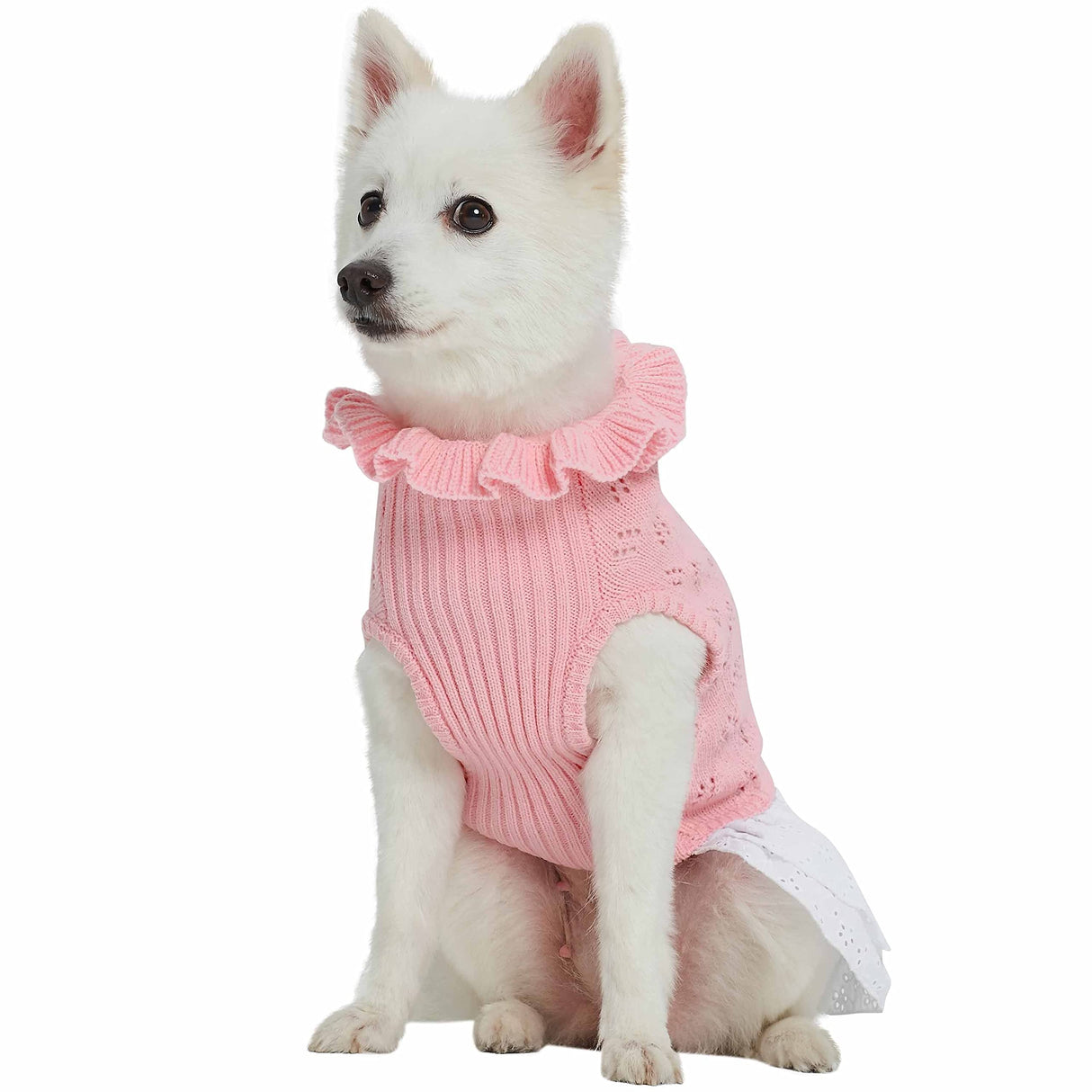 Blueberry Pet My Cutie Princess Ruffle Collar Dog Sweater Dress with Guipure Lace, Pink, Back Length 16", Fall Winter Clothes for Girl Dogs