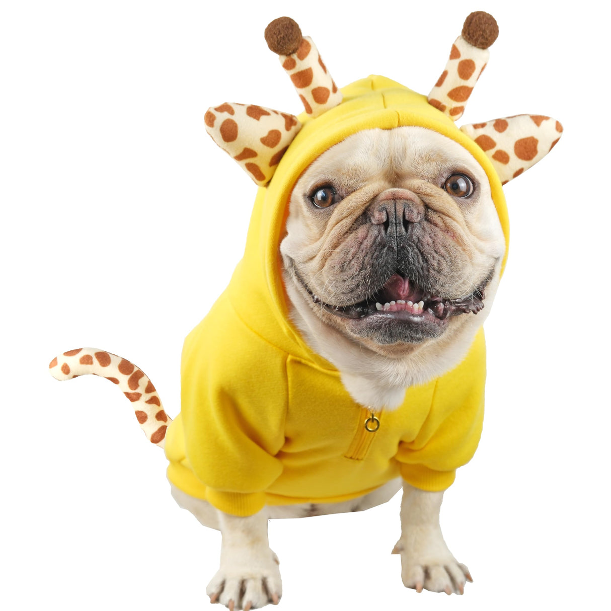 CHEERTAILS French Bulldog Clothes Dog Sweaters for Small Medium Dogs Girl Boy, Frenchie Clothes Sweater Funny Giraffe Costumes Winter Coat Hoodies Sweatshirt for Doggy and Cat,Yellow,M