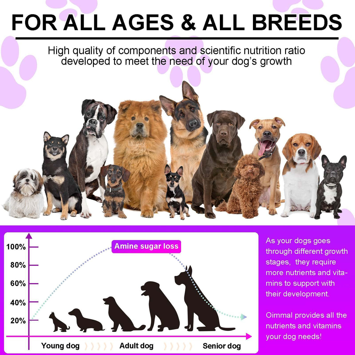 15-in-1 Dog Multivitamin Supplements with Glucosamine & Probiotics,Natural Daily Vitamins Chews for Dogs,Pet Health Support-Skin-Immunity-Gut Digestion-Joint-Heart,150 Pcs-Duck Flavor