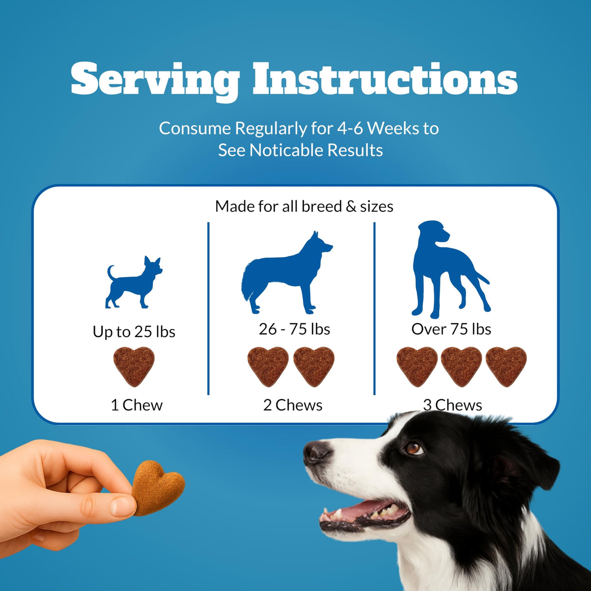 Dog Allergy Itch Relief Chews Supplement – Itchy Skin, Hot Spot & Dry Skin Support for Paw Licking, Anti-Itch Allergy Chews with Fish Oil, Colostrum & Probiotics – 120 Ct
