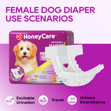 Load image into Gallery viewer, HONEY CARE All-Absorb Disposable Female Dog Diapers Small Size, Improved, 40 Count, Super Absorbent, Breathable, Wetness Indicator (Pack of 1, 40 Count Total)