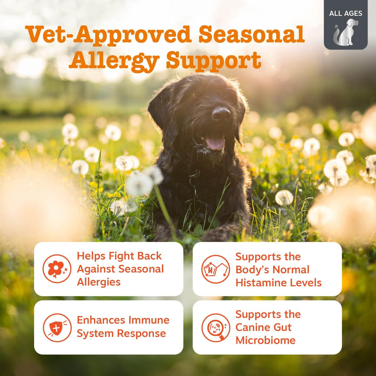 Zesty Paws Vet Strength Dog Allergy Relief Chews, Dog Probiotics for Itchy Skin and Ears, Smoked Cheese, 90ct
