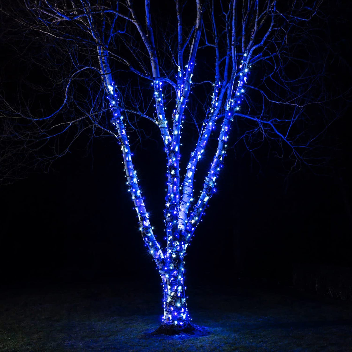 kemooie 300 LED Outdoor Christmas Lights, 99FT 8 Twinkle Modes Green Wire Fairy String Lights for Indoor Outdoor Christmas Tree Lights Wedding Party Decorations(Blue)