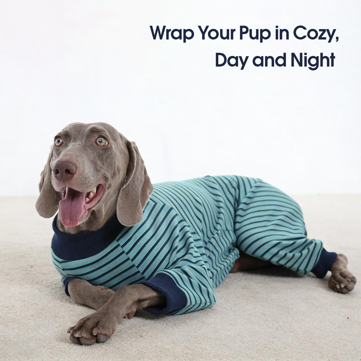 IECOii Ultra Soft Dog Pajamas, 4-Way Stretch Dog Onsie Pajamas for Small Dogs, Striped Long Sleeve Pjs Warm Pet Sleepwear for Cool to Cold Weather, Anti-shedding Full Coverage Thermal Doggy Jammies, M