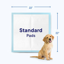 Load image into Gallery viewer, Puppy Pads Pet Pee Pads for Dogs & Puppy Training - 100 Count - Potty Pads for Dogs 22" x 22" Leak-Proof Dog Pee Pads - Quick-Dry Surface - Heavy Duty Absorbent Disposable Dog Wee Pad Bulk Pack