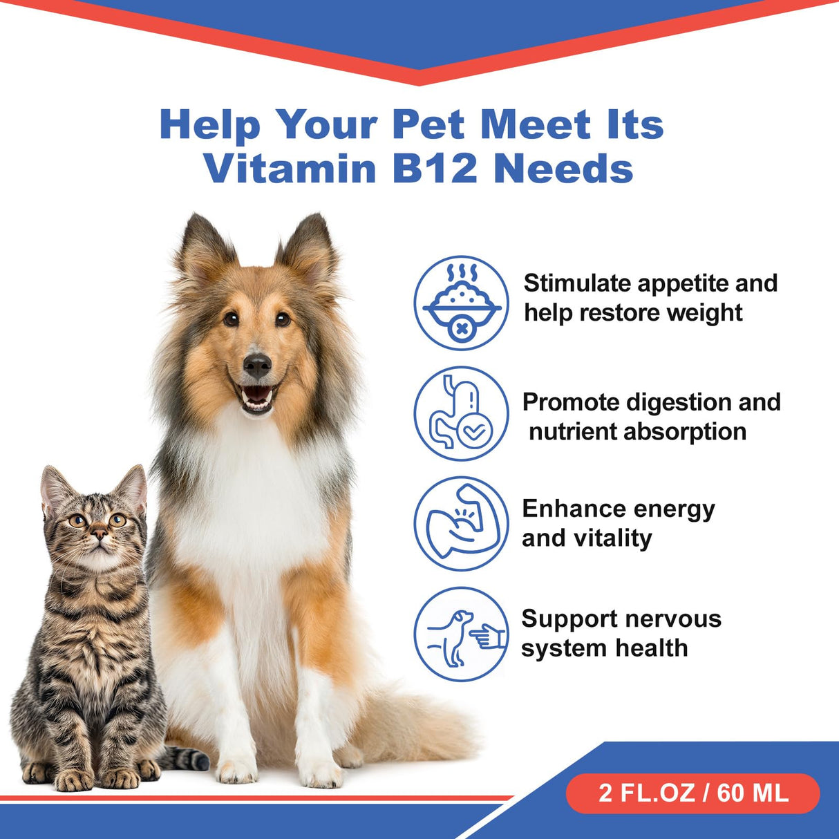 Appetite Stimulant for Dogs & Cats - Vitamin B12 (Methylcobalamin) Liquid Supplement - Boosts Appetite, Energy, and Mood - 60 ml