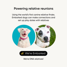 Load image into Gallery viewer, Embark Breed Identification Kit - Most Accurate Dog DNA Testing Kit - 99% Breed Ancestry Accuracy for Mixed Breed Dogs - Plus Relative Finder & Family Tree