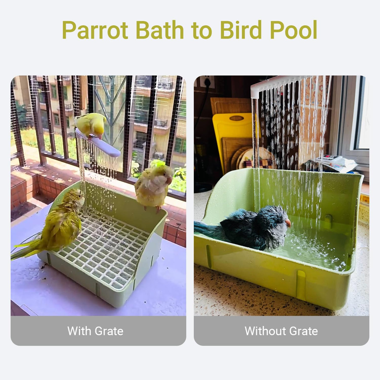 ROOJUNE Bird Bath, Automatic Parrot Shower Bath with Pump, Birds Shower Bathtub with Running Water, Birdcage, Medium Birds Parakeet Budgies Cockatiels Conures Finches, Lovebird