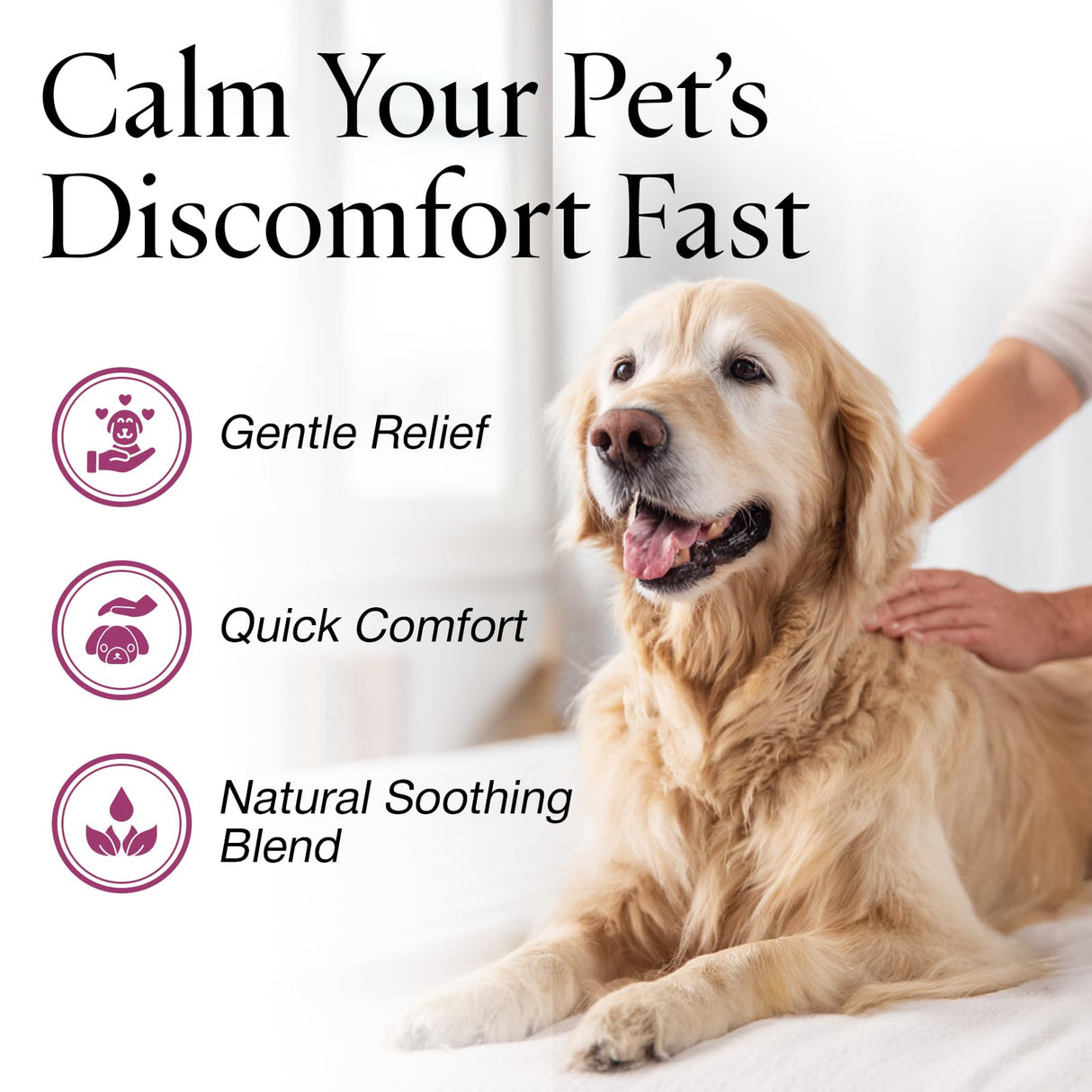Jax N Daisy Don’t Let Your Dog Itch Lotion, 16 oz – Itch Relief for Dogs, Anti-Itch Skin Soother & Grooming Care