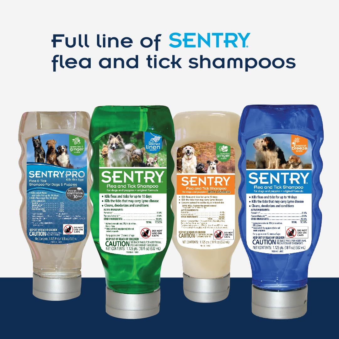 SENTRY PRO Flea and Tick Shampoo for Dogs, Rid Your Dog of Fleas, Ticks and Other Pests, Ginger Scent, 18 oz