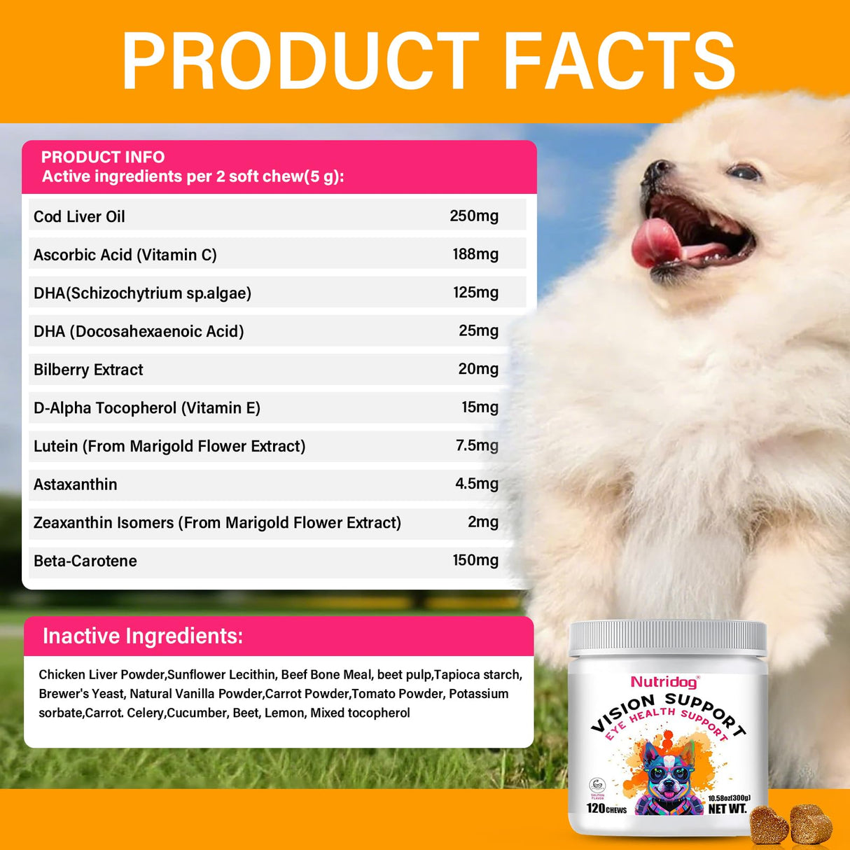 Nutridog Eye Supplements for Dogs - Vision Support Soft Chews with Lutein, DHA & Vitamin C | 120ct Salmon Flavor Tear Stain Chews | Cataract & Dry Eye Relief Supplement (120 Ct, Salmon)