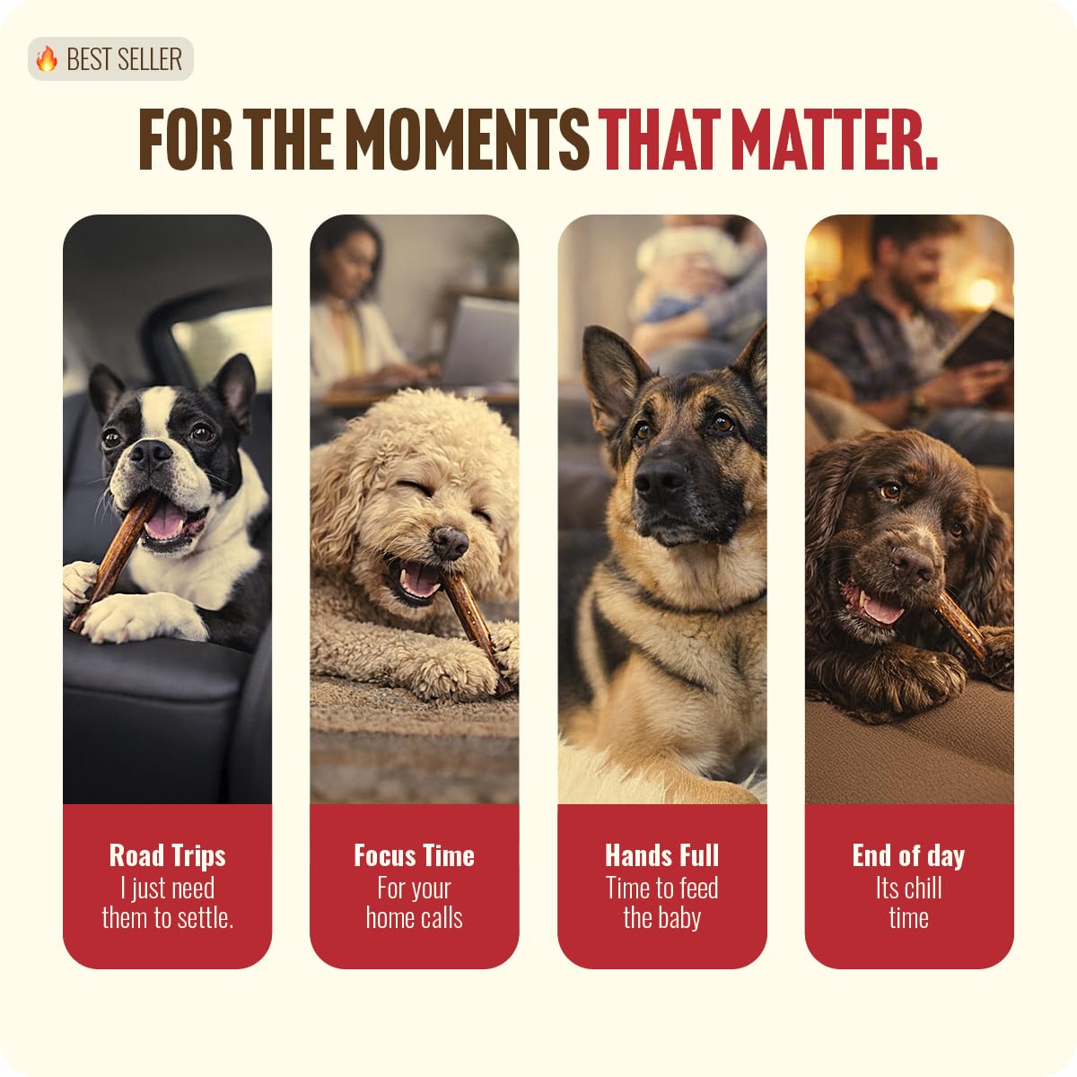 Natural Farm Odor Free Bully Sticks (4 Inch, 10 Pack) for Small & Medium Dogs - 100% Beef Chews for Pups, Non-GMO, Grain-Free, Fully Digestible Long Lasting Dog Treats